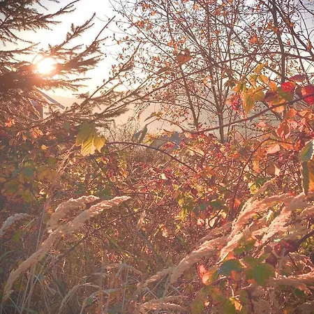 Σαλέ Z Prywatna Sauna- Na Szlaku Milówka