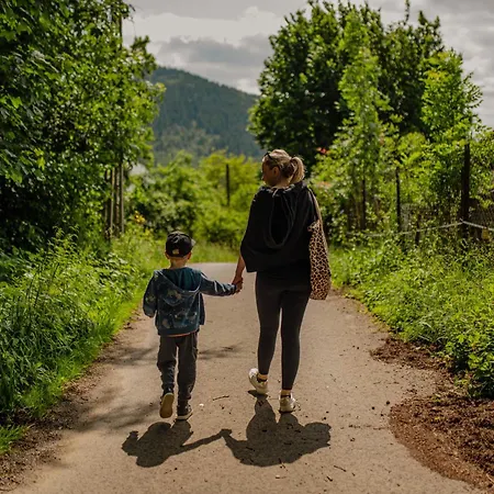 Σαλέ Z Prywatna Sauna- Na Szlaku Milówka