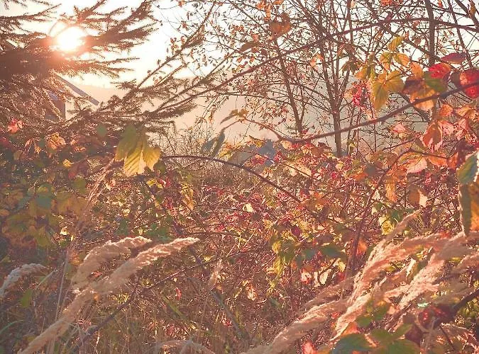 בקתה Z Prywatna Sauna- Na Szlaku מילובקה