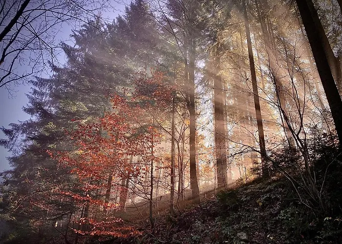 Z Prywatna Sauna- Na Szlaku בקתה מילובקה